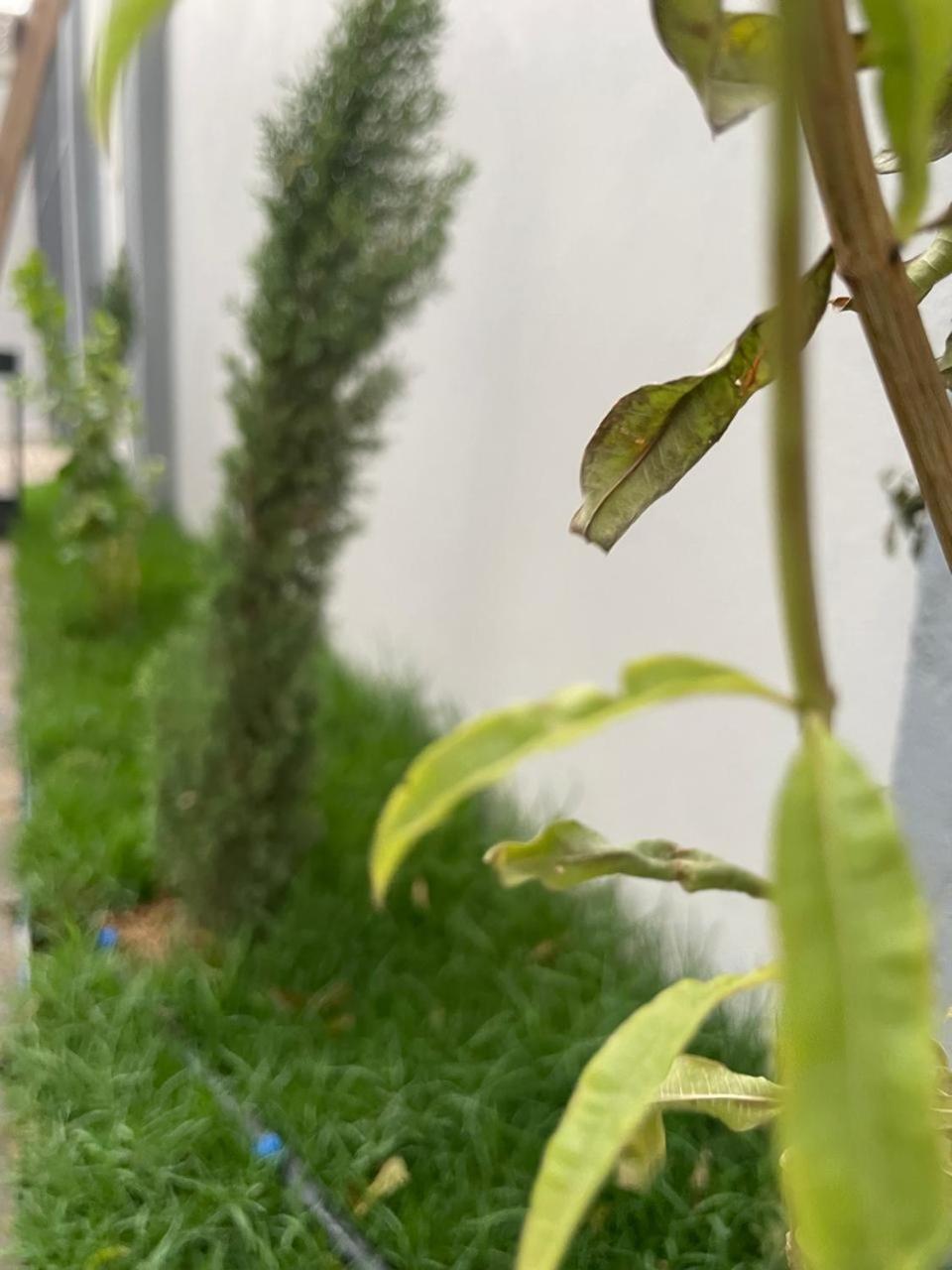 Garden Land Aparthotel คามิสมูชาอิท ภายนอก รูปภาพ